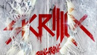 SKRILLEX BANGARANG (EP VÖ: 27.01.) Nicht nur mit seinen Remixen für Lady Gaga, den Black Eyed Peas, Bruno Mars u.v.a. konnte sich SKRILLEX in Schallgeschwindigkeit einen hervorragenden Namen machen – auch mit seinen eigenen vier...